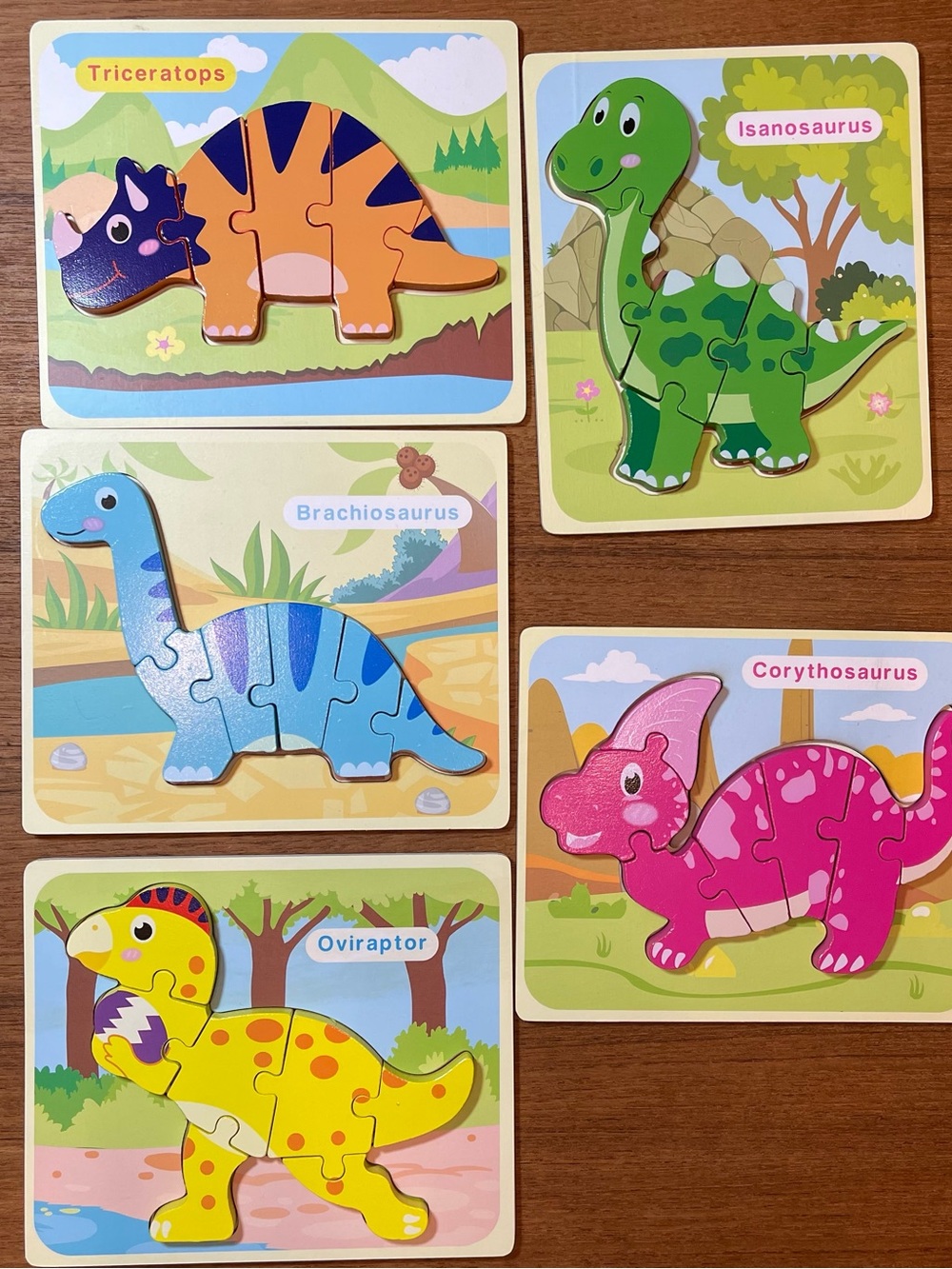 Dinosaur Wooden Jigsaw Puzzles Set (5 Pack) Montessori Toy